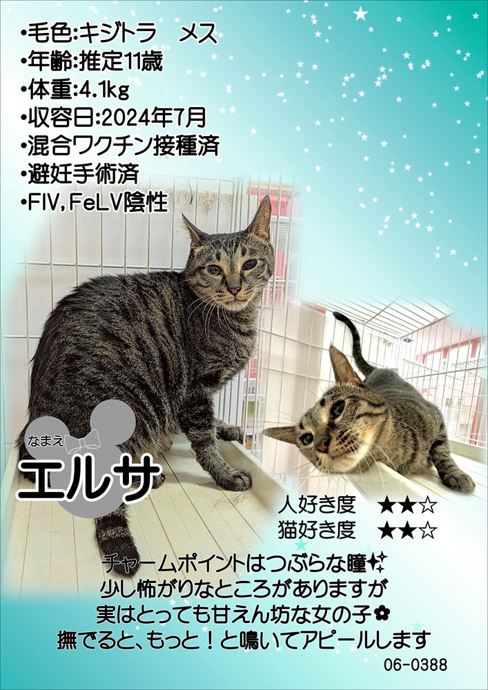 エルサ
