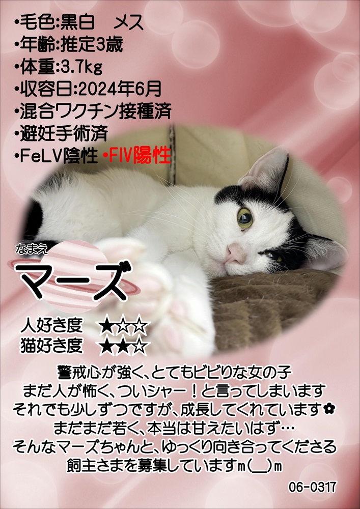 マーズ