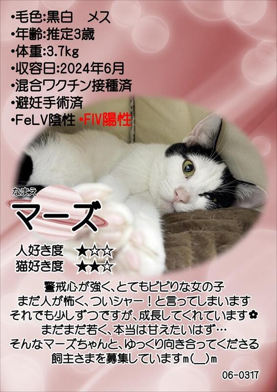マーズ