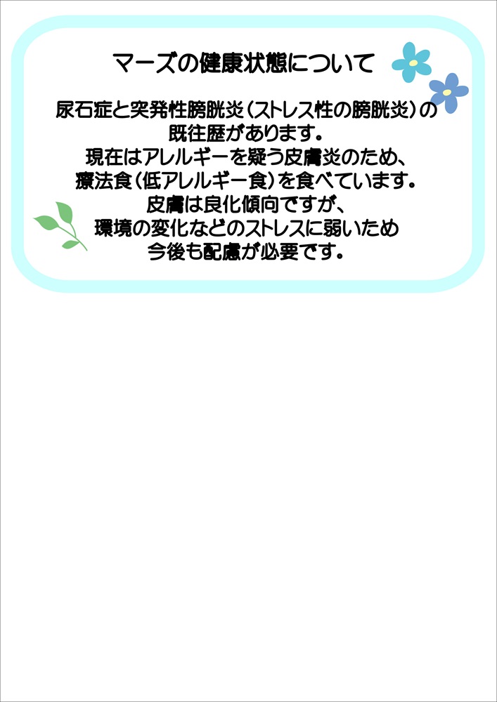 マーズ病歴