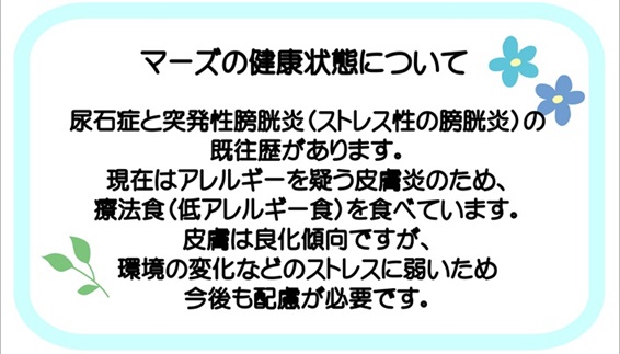 マーズ病歴