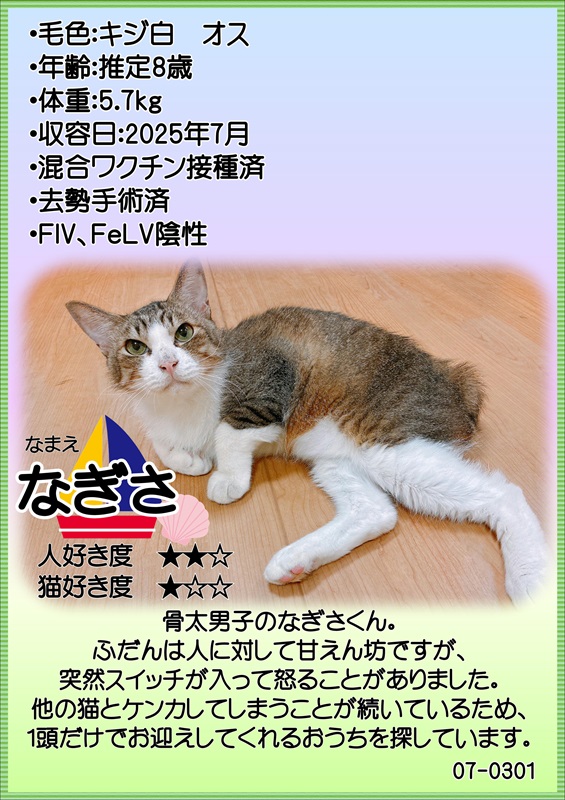 なぎさの紹介カード