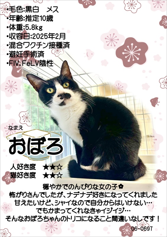 おぼろ紹介ポスター