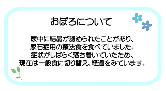 おぼろ病歴