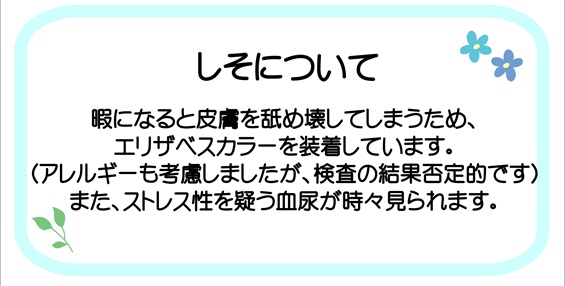 しそ病歴