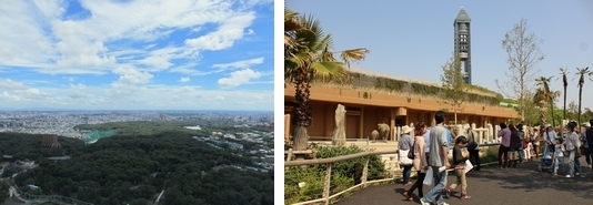 写真：区の東部の風景
