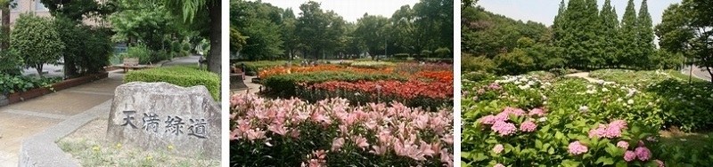 写真：区内のその他の風景