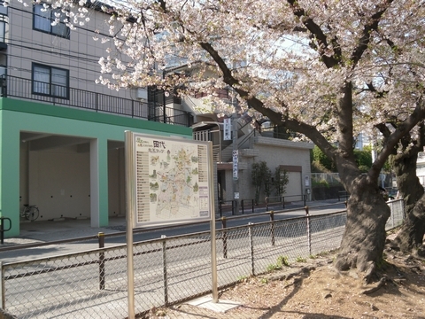写真：二ツ池公園の桜の木の下に立つ地域案内看板(地図面)
