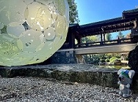 動画のサムネイル:こあらっちさんぽ 揚輝荘編