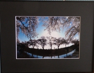 写真:市長賞受賞作品「至福の散歩道」(写真の部)