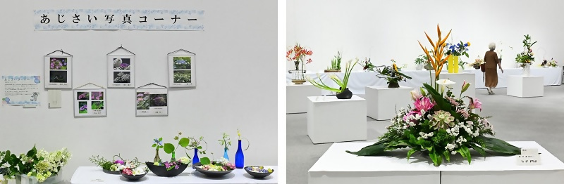 写真：あじさい写真コーナーと玄関花