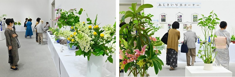 写真：区の花アジサイを用いた作品とあじさい写真コーナー