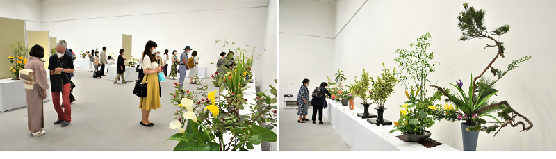 写真:会場の様子8