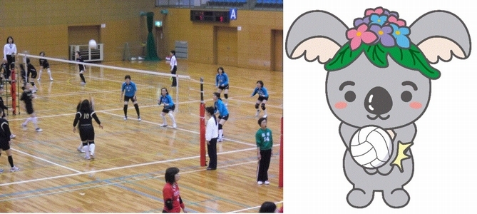 レクリエーションバレーボールの写真と、バレーボールをするこあらっちのイラスト
