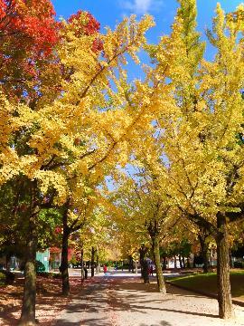 写真:入賞作品1千種公園