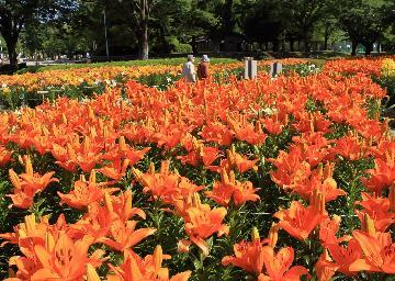 写真:入賞作品2千種公園