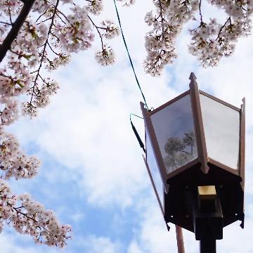 写真:入賞作品3すいどうみち緑道