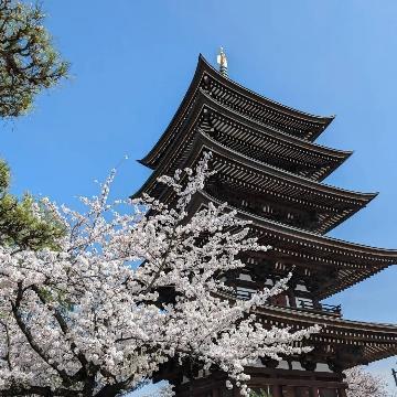 写真:入賞作品6日泰寺