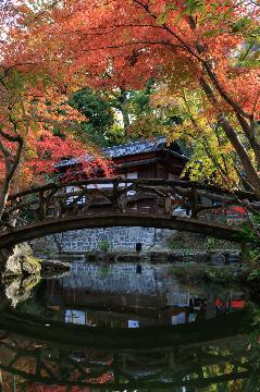 写真:入賞作品5揚輝荘