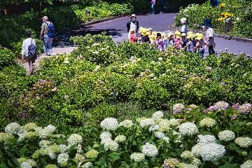 写真:入賞作品7茶屋ヶ坂公園