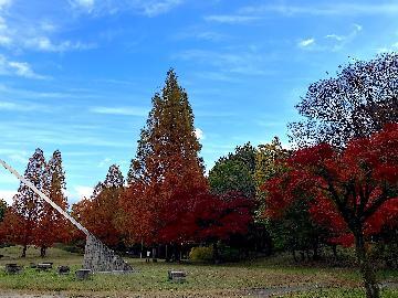 写真:入賞作品8茶屋ヶ坂公園