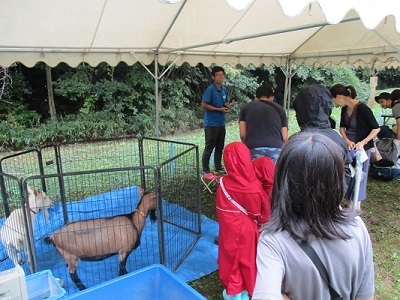写真:移動動物園を楽しむ人々の様子