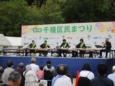 写真:琴を演奏している様子