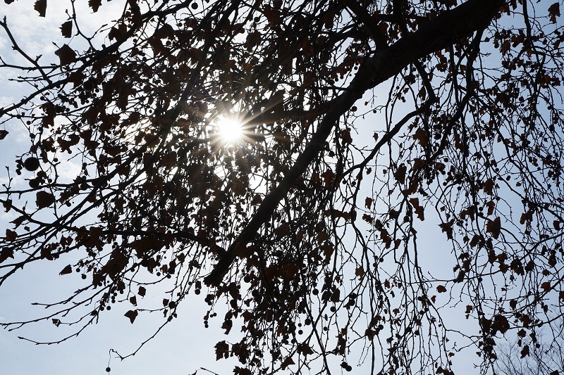 写真：千種公園2