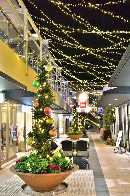 写真：星が丘テラスイルミネーション3