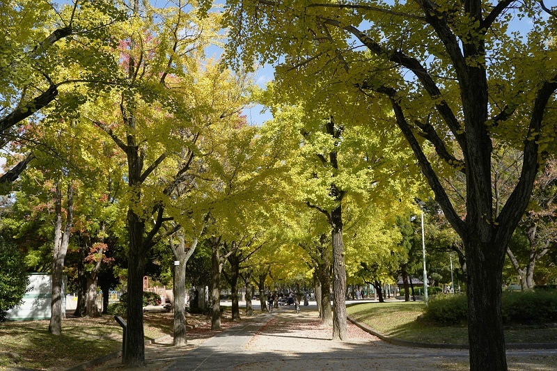 写真：千種公園1