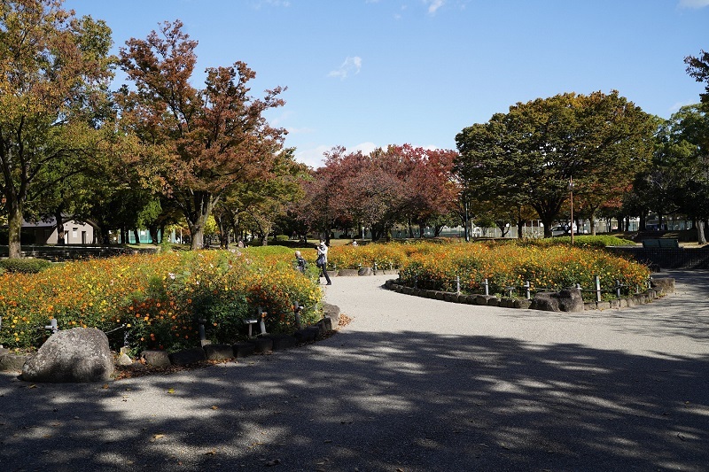 写真：千種公園2