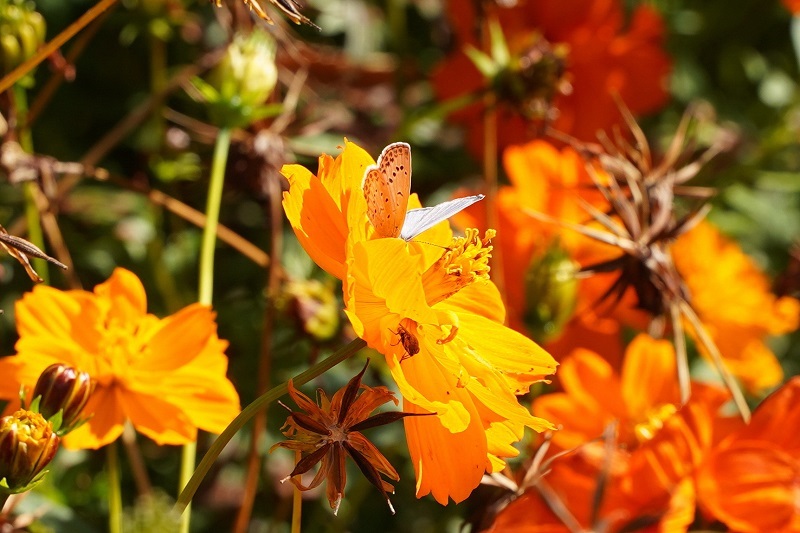 写真：千種公園3