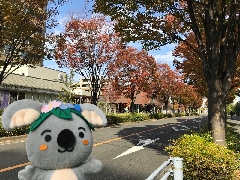 写真：セントラルガーデン