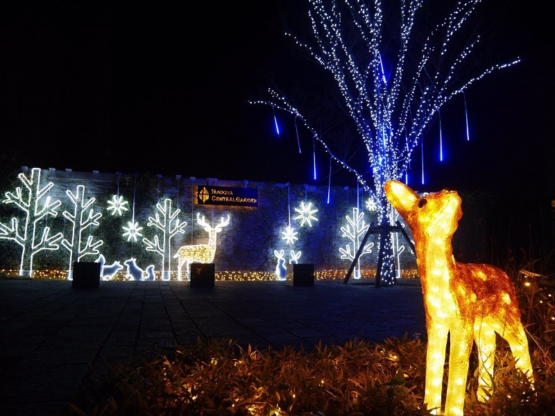 写真:ナゴヤセントラルガーデン2