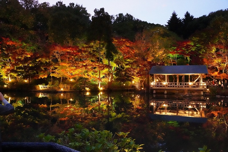 写真:東山イルミネーション1