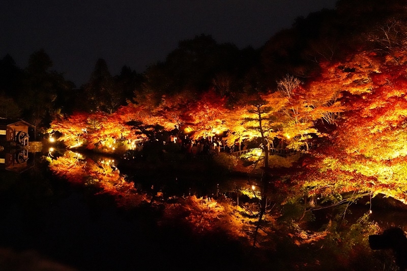 写真:東山イルミネーション2