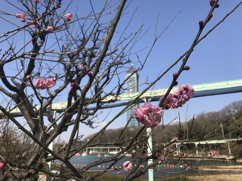 写真:東山動植物園