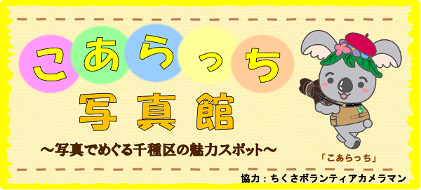 「こあらっち写真館」のご案内