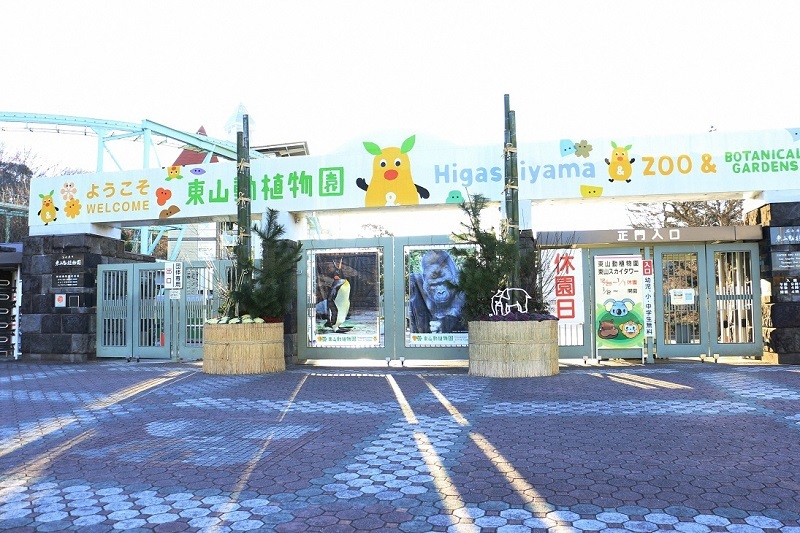 写真:東山動植物園の門松