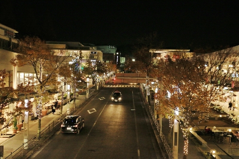 写真:夜の星が丘テラスの全景