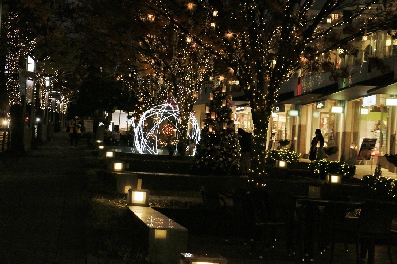 写真:星が丘テラスのイルミネーション