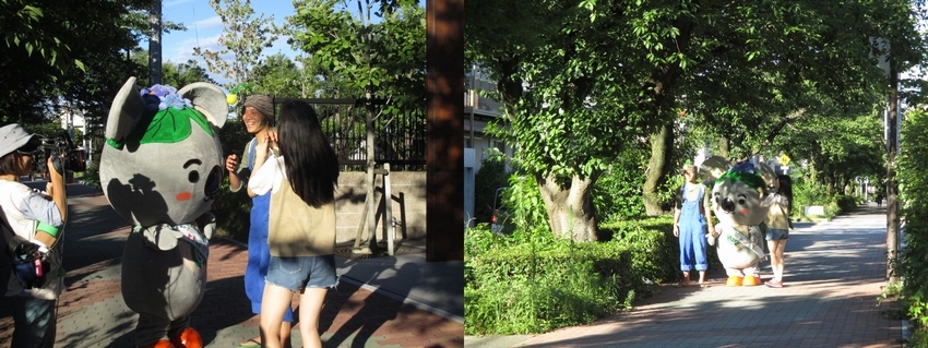 写真:すいどうみち緑道での撮影風景