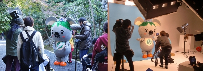 写真:「こあらっち」の撮影風景