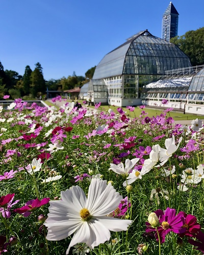 写真:入賞作品12