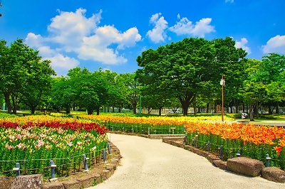 写真:入賞作品10