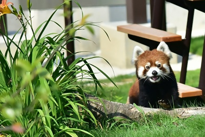 写真:入賞作品2