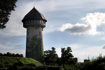 写真:入賞作品3