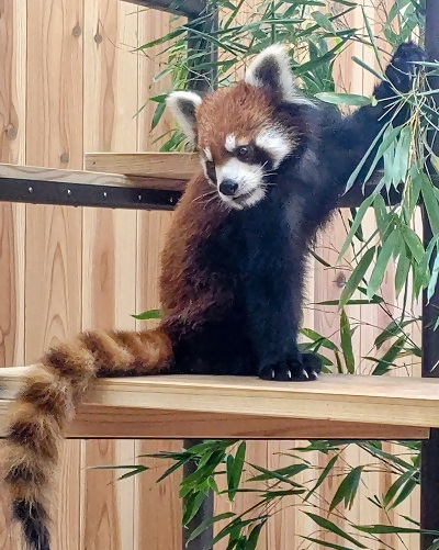 写真:入賞作品6