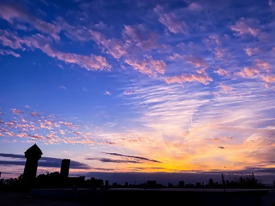 写真:入賞作品7