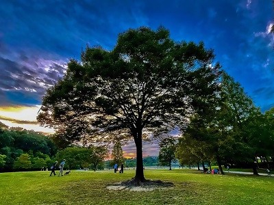 写真:入賞作品8